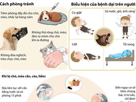 bệnh dại